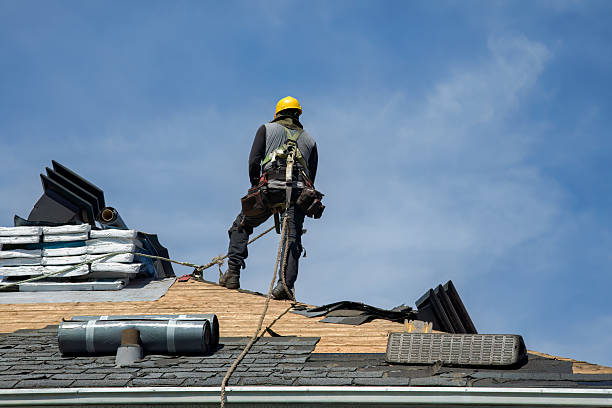 Professional Roofing technician working in Ovid, MI